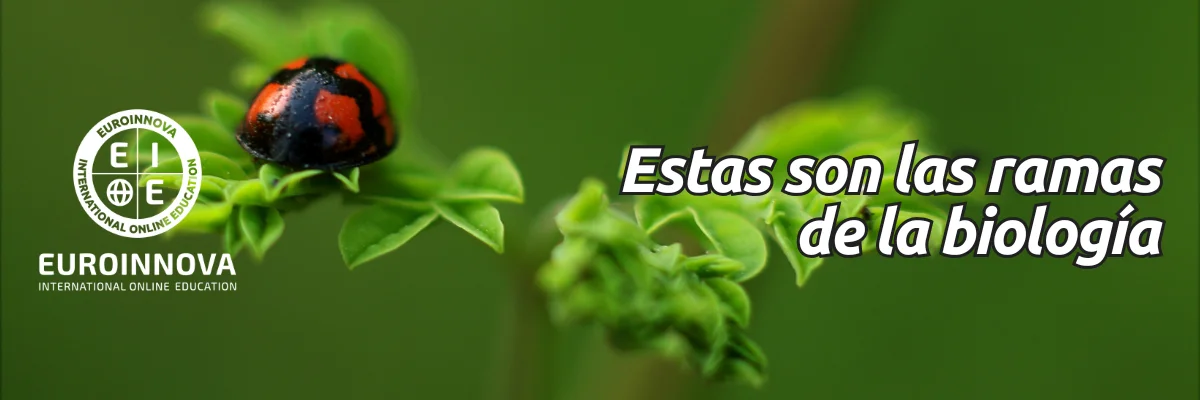25 RAMAS de la BIOLOGÍA: descubre sus DEFINICIONES claves