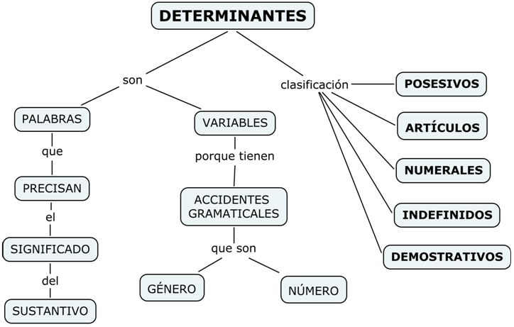 30 EJEMPLOS de PREFIJOS que IMPRESIONAN ¡Descúbrelos!