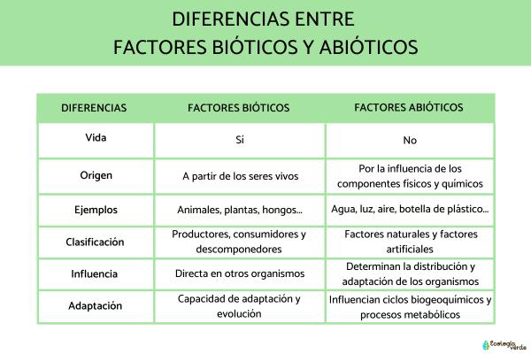 ABÍOTICO: SIGNIFICADO, CARACTERÍSTICAS Y EVOLUCIÓN