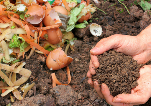 ABONO ORGÁNICO PARA PLANTAS: Descubre sus SECRETOS