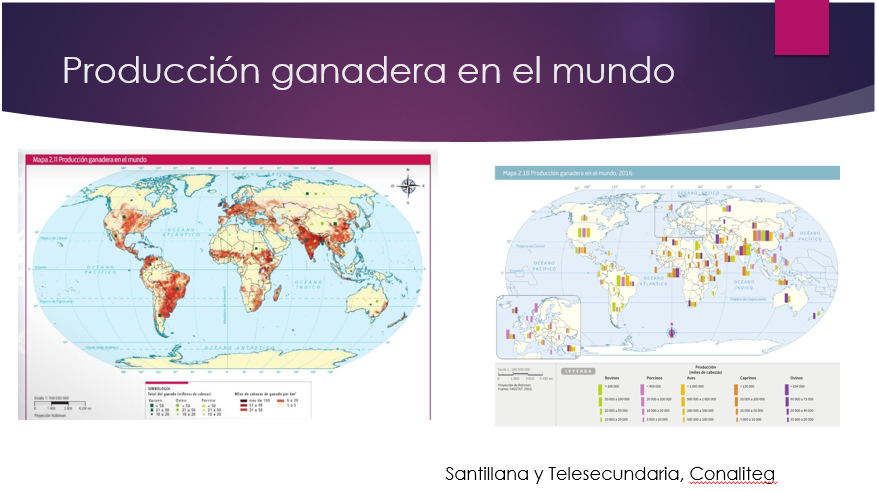Actividades Agrarias: DESCUBRE su Distribución Global