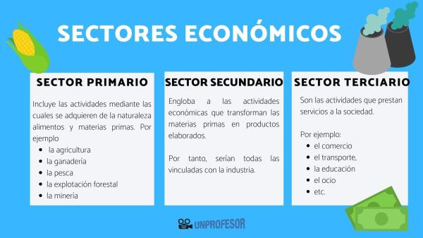 ACTIVIDADES ECONÓMICAS SECUNDARIAS: Descubre Ejemplos Clave