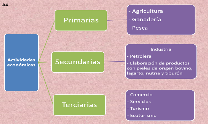 Actividades ECONÓMICAS y RECURSOS Naturales en Centla