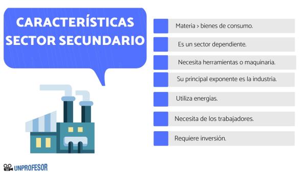 ACTIVIDADES SECUNDARIAS: ¡Descubre su IMPORTANCIA!