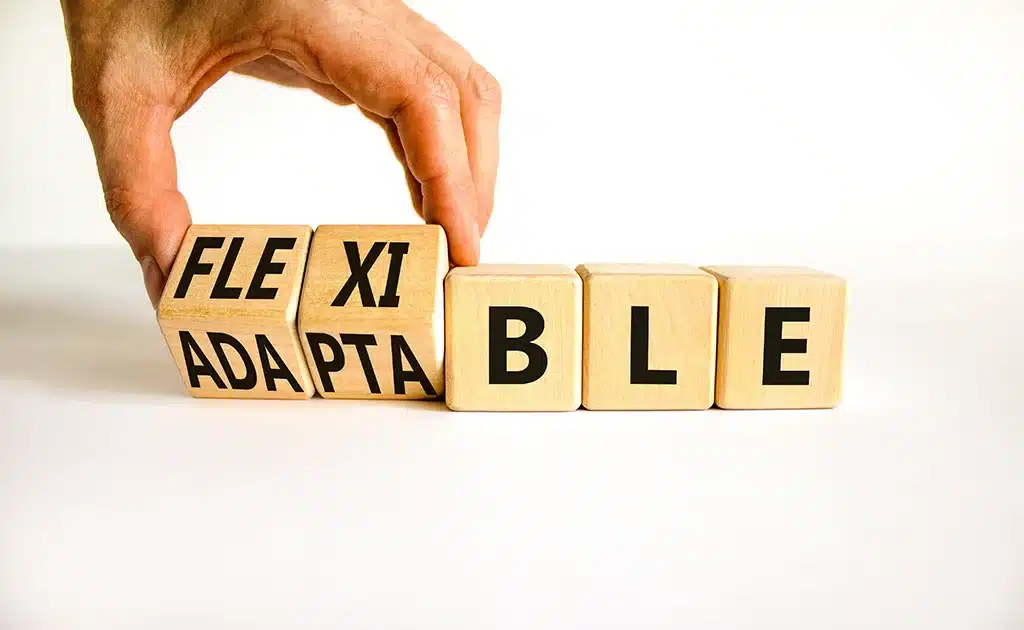 Adaptabilidad: SIGNIFICADO y su IMPORTANCIA en el TRABAJO
