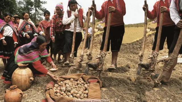 AGRICULTURA en la NUEVA ESPAÑA: RIQUEZA INDÍGENA Oculta