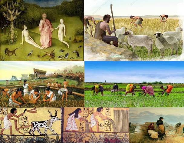 AGRICULTURA y GANADERÍA en la NUEVA ESPAÑA: ¡Descubre!