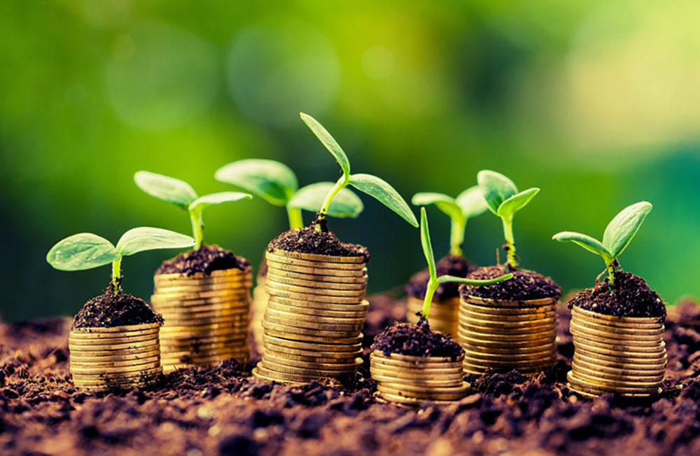 AGRO NEGOCIOS: Definición, Ejemplos y Más ¡Descubre!