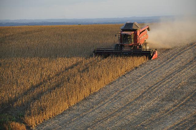 AGROEXPORTADOR: Definición, CARACTERÍSTICAS e HISTORIA