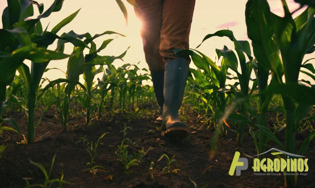 AGROPECUARIAS: Descubre ACTIVIDADES y PRODUCTOS Clave