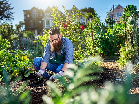 AGROTURISMO: Definición, CARACTERÍSTICAS y Modalidades