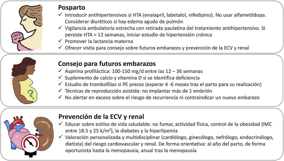 ÁLGIDO: Definición y Concepto en MEDICINA Importante