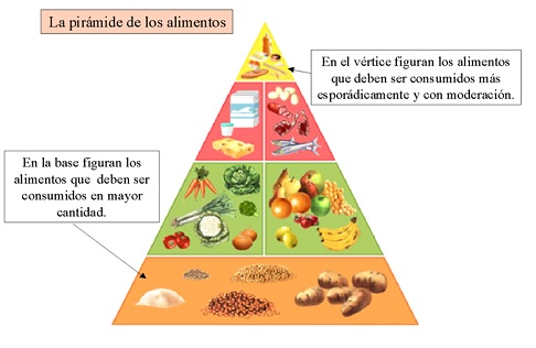 ALIMENTACIÓN: CONCEPTO, RÉGIMEN y TRASTORNOS Clave