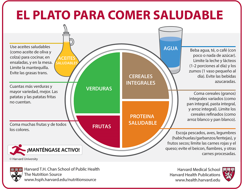 ALIMENTACIÓN SALUDABLE: Qué es y sus CLAVE CARACTERÍSTICAS