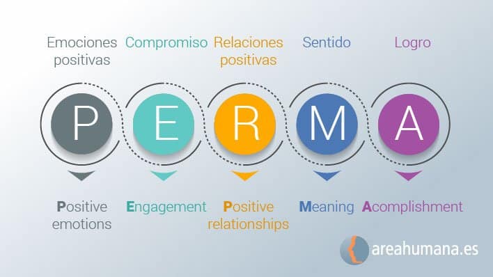 AMABLE: Descubre su SINÓNIMO y SIGNIFICADO Esencial