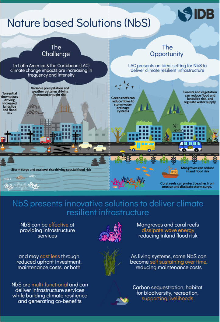 AMBIENTE MODIFICADO: IMPACTO y SOLUCIONES INNOVADORAS