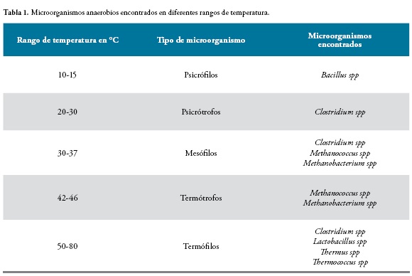 ANAEROBIO: DEFINICIÓN, CARACTERÍSTICAS y USOS ESENCIALES