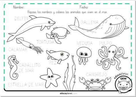 Animales ACUÁTICOS: Descubre su interesante Actividad