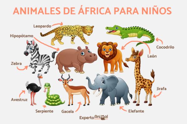 ANIMALES SALVAJES y DOMÉSTICOS: 60 NOMBRES IMPRESIONANTES