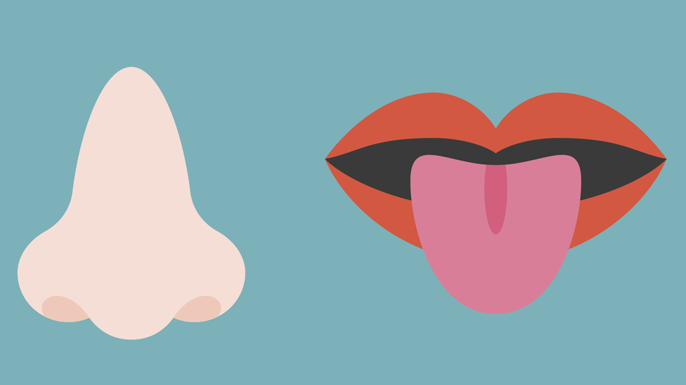ANOSMIA: Qué es, DEFINICIÓN y su IMPACTO en tu VIDA