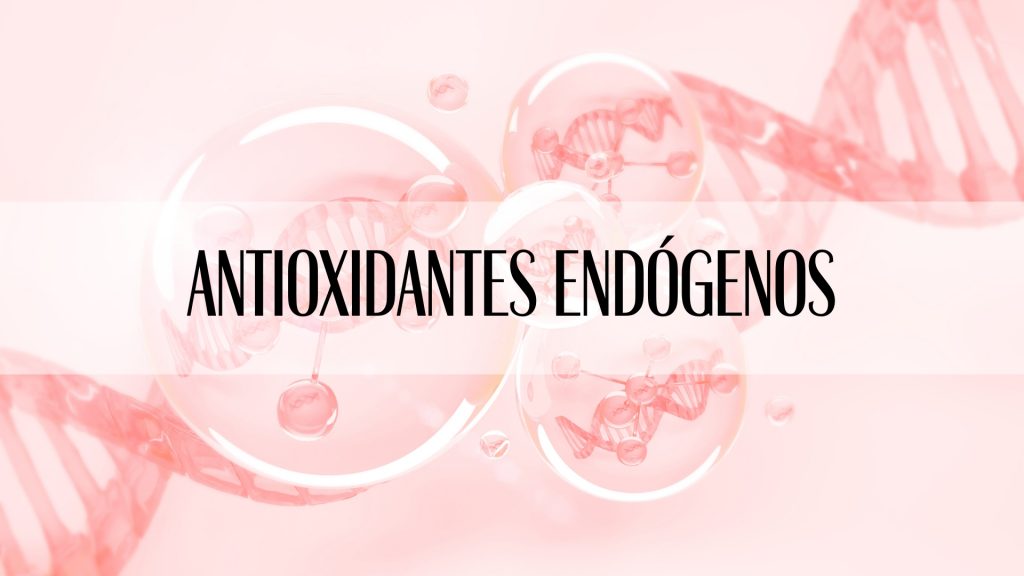 ANTIOXIDANTE: Significado, ORIGEN y Beneficios Únicos