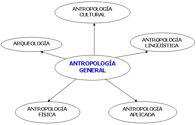 ANTROPOLÓGICO: Significado, Historia y Ramas Esenciales