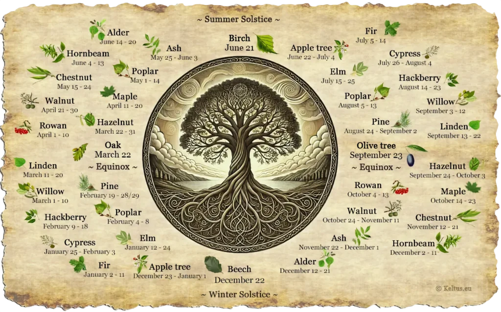 ÁRBOL MÁGICO: Descubre su MAGIA y SECRETOS Ocultos