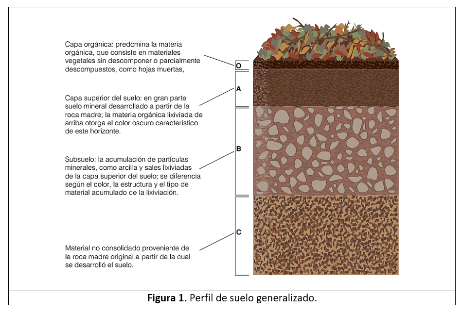ARSÉNICO: DEFINICIÓN, CONCEPTO y SUS EFECTOS OCULTOS