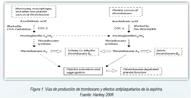 ASPIRINAS: Qué son, su DEFINICIÓN y CONCEPTOS CLAVE