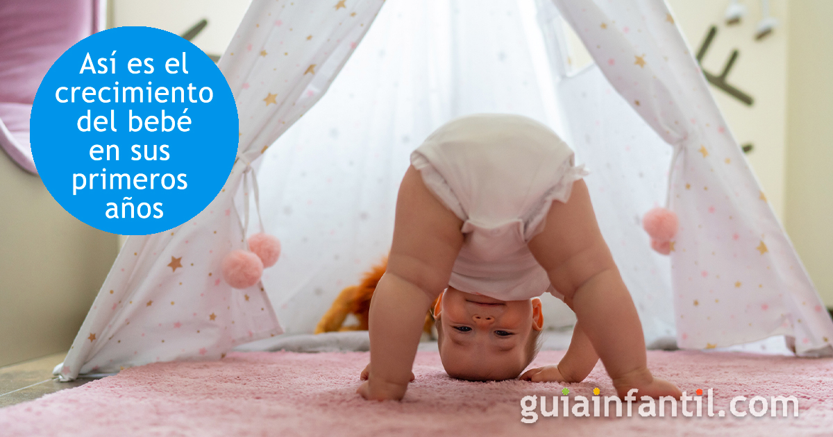 BEBÉ: Significado, Características y Usos Esenciales