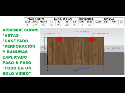 BETAS o VETAS: Cuál es la forma correcta de escribirlo