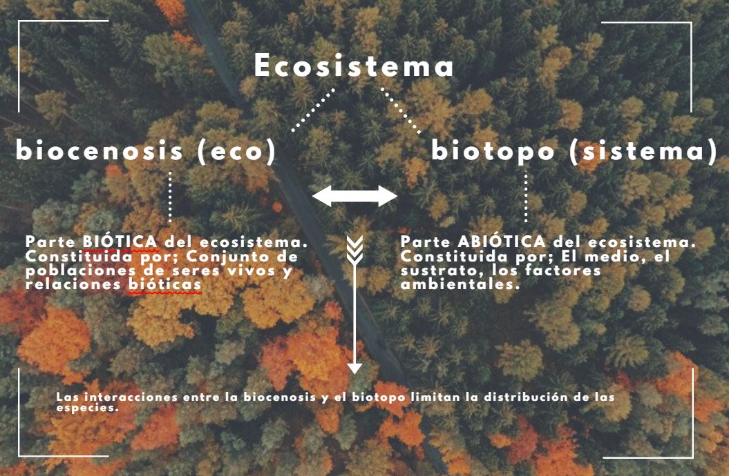 BIOCENOSIS: DEFINICIÓN, CLASIFICACIÓN Y CARACTERÍSTICAS