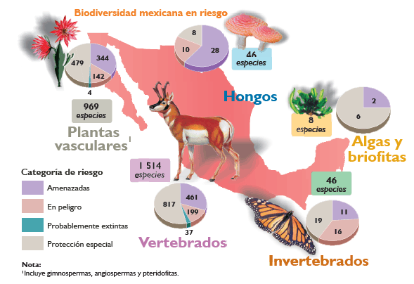 BIODIVERSIDAD: DEFINICIÓN, TIPS y SU Importancia REAL