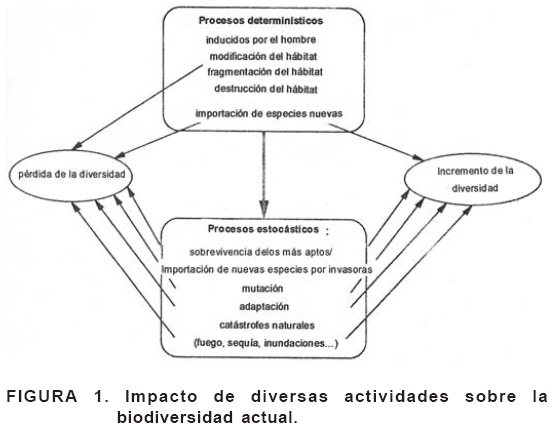BIODIVERSIDAD GENÉTICA: DEFINICIÓN y APLICACIONES CLAVE