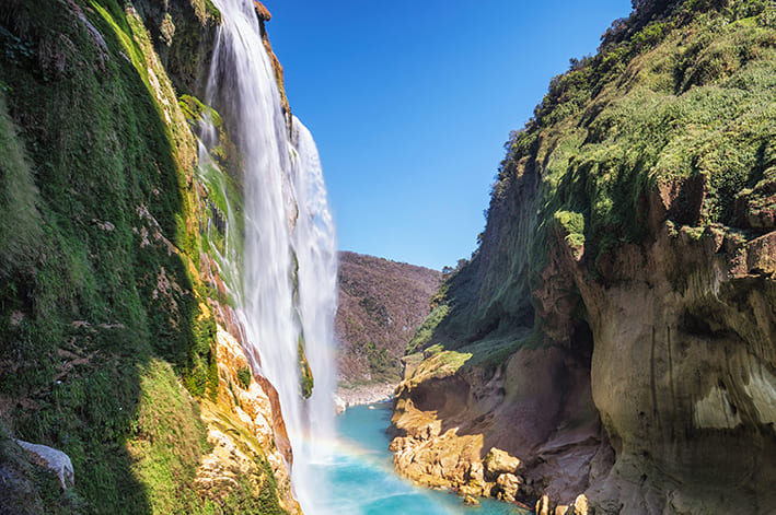 Biodiversidad Natural de MÉXICO: Descubre su MARAVILLA