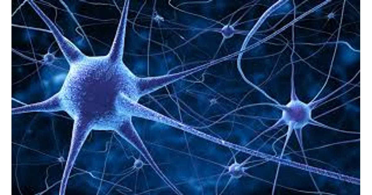 BIOELECTRICIDAD: Descubre la ELECTRICIDAD en tu CUERPO