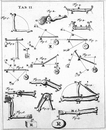 BIOMECÁNICA: DEFINICIÓN, CARACTERÍSTICAS Y APLICACIONES