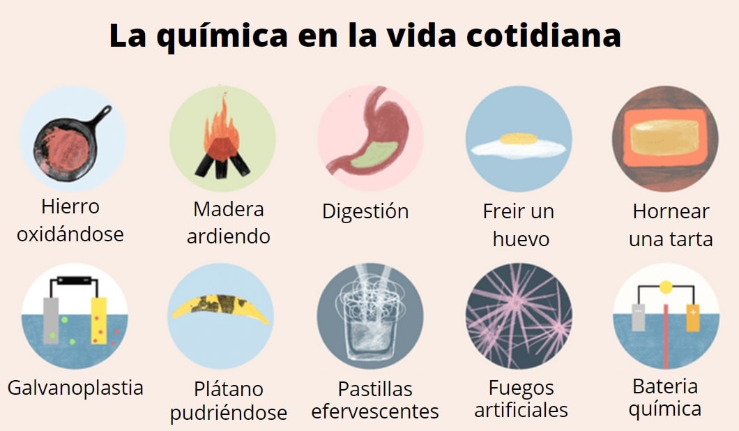 BIOQUÍMICA EN LA VIDA COTIDIANA: 10 EJEMPLOS IMPACTANTES