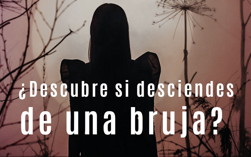 BRUJAS: Descubre su DEFINICIÓN y CONCEPTO interesante
