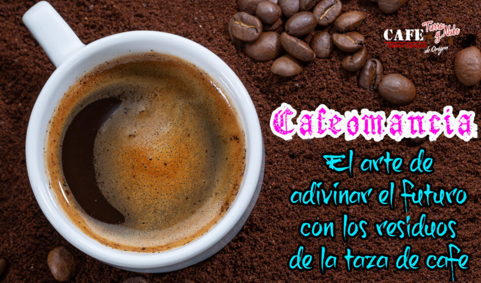 Café: QUÉ ES, su DEFINICIÓN y formas de DISFRUTARLO