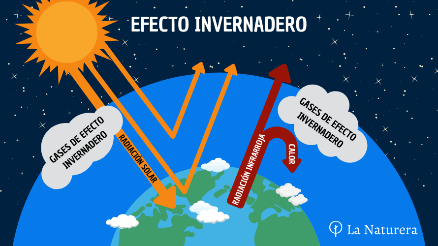 CALENTAMIENTO GLOBAL: Impacto del EFECTO INVERNADERO