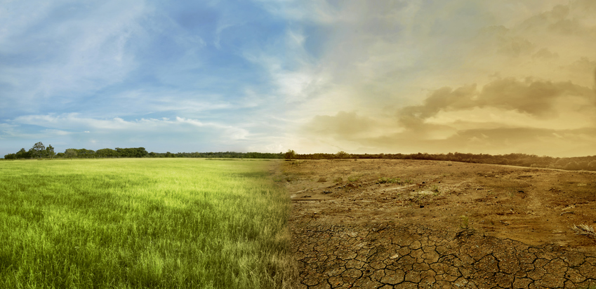 CAMBIO CLIMÁTICO: Descubre Cómo se Produce y sus Efectos
