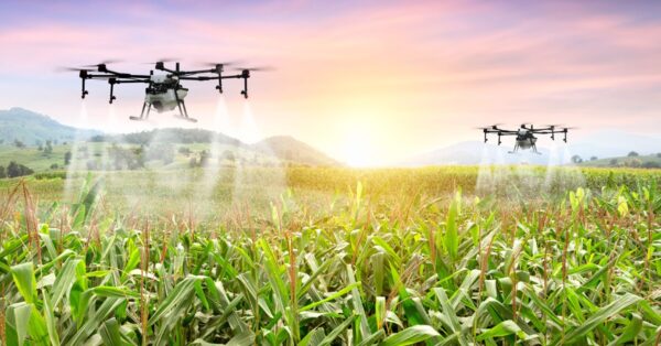 CAMPOS INNOVADORES: Transformación en PROCESOS PRODUCTIVOS