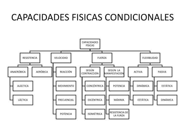 CAPACIDAD CONDICIONAL: DEFINICIÓN Y TIPOS ESENCIALES