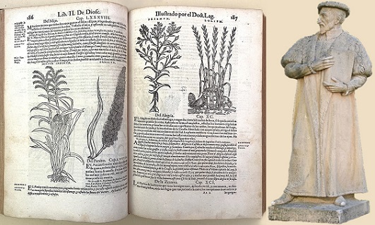 CAPÍTULO: LITERATURA, CRISTIANISMO Y BOTÁNICA DESCUBIERTAS