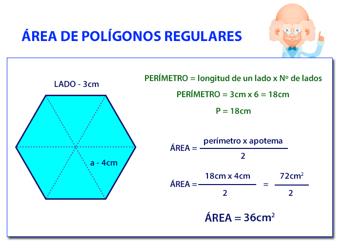 Características de los POLÍGONOS REGULARES: ¡Descúbrelas!