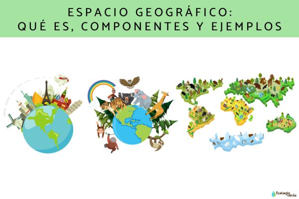 Características del ESPACIO GEOGRÁFICO: ¡Descubre Más!