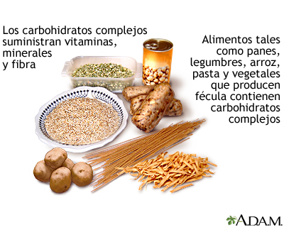 CARBOHIDRATOS: Qué SON, FUNCIONES y BENEFICIOS Esenciales