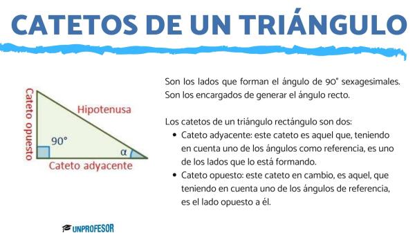 CATETO OPUESTO: Descubre su Importancia en Trigonometría