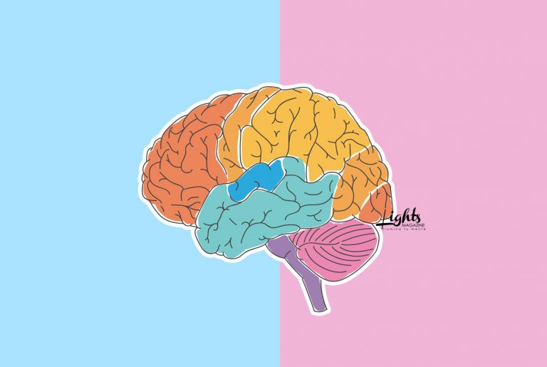 CEREBRO: QUÉ ES y CUAL es su FUNCIÓN Descúbrelo Aquí